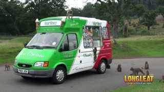 Ice Cream Van Serves up Summer Treat for Longleat Monkeys [upl. by Eillit]