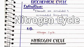 Nitrogen cycle  Nitrogen fixation [upl. by Spark]