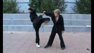 How Chuen Monkey  Lung Chuen Kung Fu [upl. by Ehcropal]