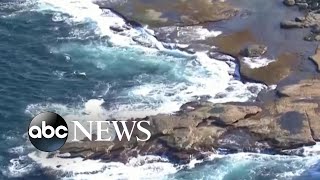 Sydney’s 1st fatal shark attack in decades [upl. by Sollows]