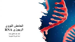 RNA Types [upl. by Abbye]