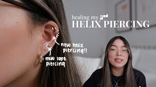 helix piercing aftercare  how i healed my helix piercing [upl. by Lucy]