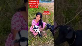 এইজন্যে কং ওমার বাড়ির পাটাটা মোর ছাগলের সাথে নেটের পেটের করে কে🤣shortvideo Cagol foryou [upl. by Noiek75]