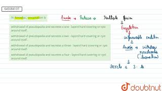 In Amoeba  encystation is  12  NTA NEET TEST 102  BIOLOGY  NTA MOCK TESTS ENGLISH  Doubtn [upl. by Schrick]