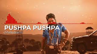 PUSHPA PUSHPA MALAYALAM  Pushpa 2 The Rule Allu Arjun Devi Sri Prasad  LOFI SONG  MR MUSIC [upl. by Gisella]