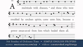 COMMUNION • 5th Sunday of Ordinary Time • SIMPLE ENGLISH PROPERS [upl. by James]