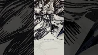 Dip pen amp ink botanical line art drawing demo [upl. by Nehgam]