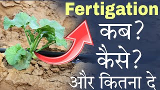 Fertigation in drip Irrigation  Fertigation in Agriculture टपक सिंचाई में फर्टिगेशन  by PC Verma [upl. by Wenoa823]