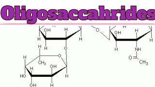 Oligosaccharides  Zeeraks Biology [upl. by Anilejna749]