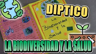 Como Hacer Un Díptico De La Biodiversidad y la Salud [upl. by Ymaj816]