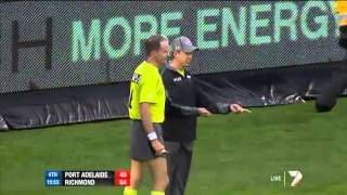 Goal umpire down  AFL [upl. by Dorolice778]