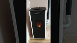 Piecpiecyk kominek koza na pelet pellet Retta 115 kW  DGP [upl. by Feinberg637]