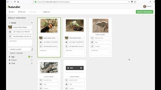How to Use iNaturalists Photo and Sound Uploader [upl. by Imekawulo]