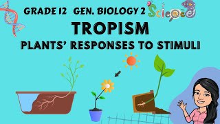 Tropism  Plants Responses to Stimuli  Grade 12 General Biology 2 Tagalog [upl. by Luwana]