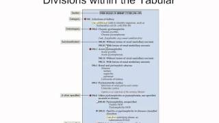 ICD9CM Format [upl. by Sigsmond]