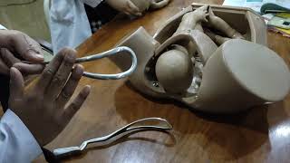 FORCEPS DELIVERY demonstration on DUMMY easy way to go 2 [upl. by Irrek]