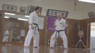 Okinawa Shorin Ryu Seibukan Karate [upl. by Biddle]