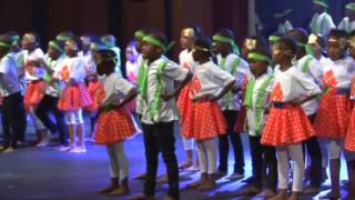 Laerskool Ermelo  Revue 2015  Grade 2 [upl. by Hollinger]