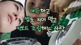 알찬 직장인vlog  오테뷰라임v2 키보드스위치 교체  라따뚜이 만들기  자취1인밥솥 구매 [upl. by Alicirp]