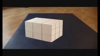 Trippy Illusion Cube [upl. by Tneicniv]