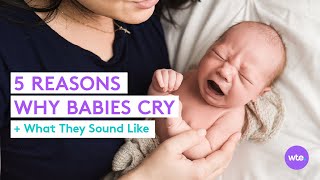 5 Basic Reasons Why Babies Cry What They Sound Like and What They Mean  What to Expect [upl. by Philipson887]