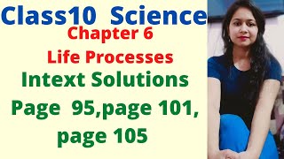 Class10 Science Chapter 6 Life Process Intext Questions Page No 95 page No 101page No 105 [upl. by Aidin815]