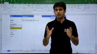 MS Excel  Formatting [upl. by Austreng]