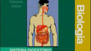 A 03  Sistema Digestivo  Biologia  Vestibulando Digital [upl. by Amesari]