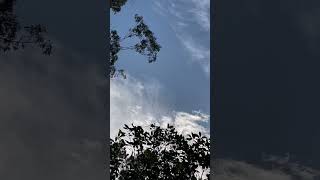 Country cloudscape and birds  Australia [upl. by Oaht904]