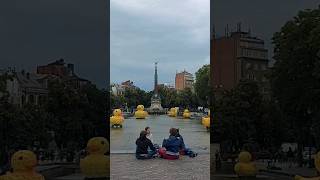 🦆 Place Sainte Catherine in Brussels 🇧🇪 brussels Belgium travelvlog slowliving [upl. by Aisitel]