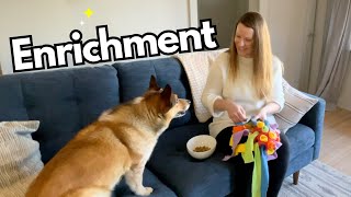 FAVOURITE Dog Enrichment Toys amp How I Prepare Them [upl. by Drolyag220]