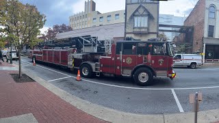 HFDHPDWCSO And More At The Mummers Parade [upl. by Arthur51]