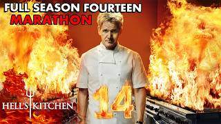 SO MANY Iconic Hells Kitchen Moments  Full Season 14 Marathon [upl. by Eneleuqcaj]