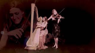 Canone di Pachelbel violin and harp [upl. by Arabrab691]