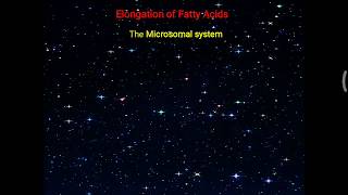 Fatty Acid Synthesis Pathway Overview Enzymes and Regulation [upl. by Monjo171]