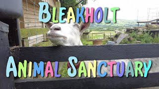 Bleakholt Animal Sanctuary Edenfield Ramsbottom July 2022 [upl. by Namialus758]