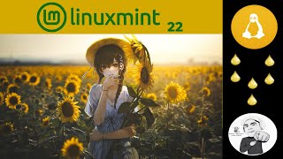 Linux Mint 22 WIlma  Linux Mint migra su base a Ubuntu 2404 para los próximos años [upl. by Dilan357]