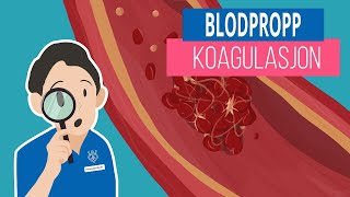 BLODPROPP amp KOAGULASJON [upl. by Rochell123]