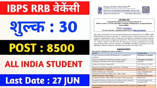 IBPS RRB Vecency 2024  New vecency 2024 all indian candidate student [upl. by Chlores625]