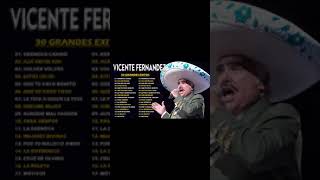 VICENTE FERNANDEZ MIX ROMANTICAS VIEJITAS PARA ADOLORIDOS LAS MEJORES RANCHERAS MEXICANAS [upl. by Aivatnuhs]