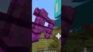 Protecting Villager vs Luck 3322 Moment meme shorts minecraft [upl. by Ailimaj]