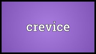 Crevice Meaning [upl. by Nytsirk819]