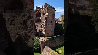 Welcome to the Heidelberg Castle 🇩🇪 germany vlog shorts [upl. by Eelyram]