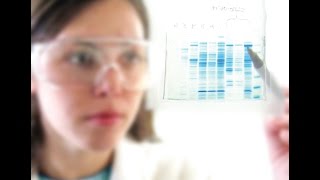 Why The Medium Composition Counts Molecular Dimensions [upl. by Kitty637]