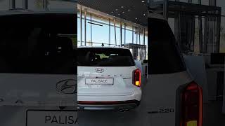 Hyundai Palisade [upl. by Yeclehc]