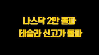 나스닥 2만 돌파 테슬라 신고가 돌파 축하드립니다 여러분 아레스 자산 현황 멤버십 후기 [upl. by Namolos]