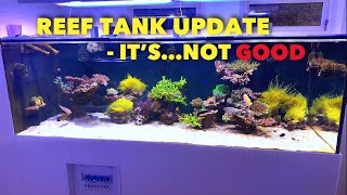 REEF TANK UPDATE  DISASTER… [upl. by Chivers]