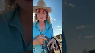 glamorous fergie cuntry australia country ranch aussie girl [upl. by Krilov]