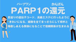 PARP1パープワンの還元 若返りの遺伝子 経験を全てまっさらにして相手と尊敬しあえる関係になる 心理カウンセラー大嶋信頼さんの遺伝子コード [upl. by Retniw777]