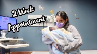 Newborns 2 Week Appointment  Life As New Parents [upl. by Herzen]